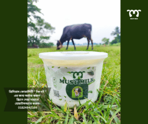 yogurt